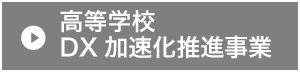 高等学校DX加速化推進事業
