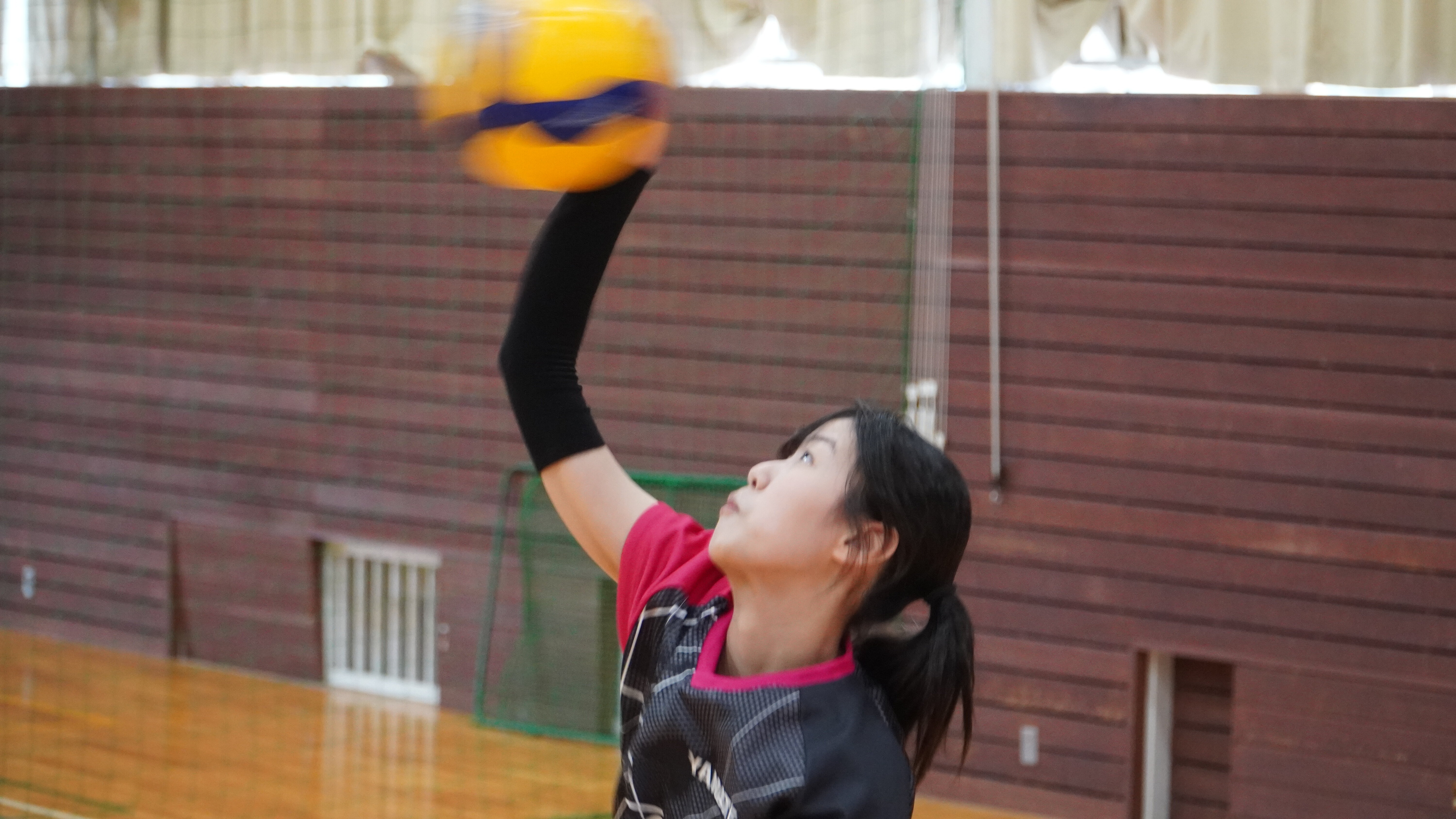 DSC03839.JPG