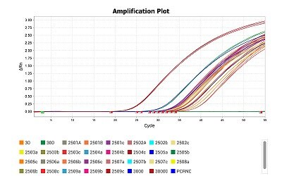 260803_Amplification Plot.jpg