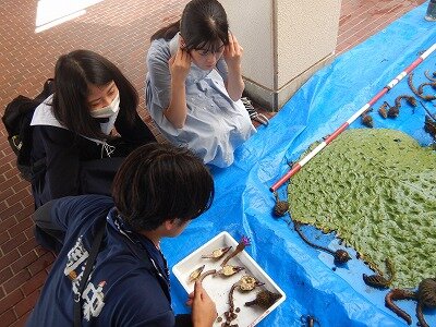 DSCN5266.jpg