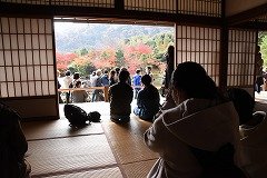 DSC_0044.jpg