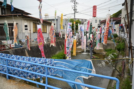 DSC_2213.JPG