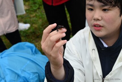 DSC_2460.jpeg