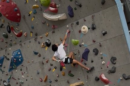 IMG_2175.jpeg